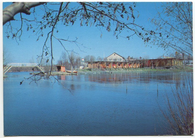 Parikkala Lohikontti 1982