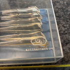 Chippendale jälkiruokalusikka 6kpl hopeaa 224g - pikkukuva 2