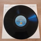 STEVE WINWOOD Back in the high life ILPS 9844 1986 Scandinav - pikkukuva 3