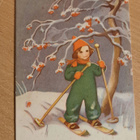 Martta Wendelin, Hy 246 R1, kulkematon - pikkukuva 1