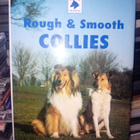 Clark : Rough & Smooth Collies ( SIS POSTIKULU ) - pikkukuva 1