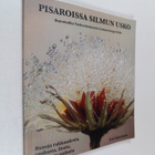 Iris Saloranta : Pisaroissa silmun usko : Runomatka Vuoks... - pikkukuva 1