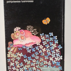 Satumaa : Vuoden ympäri - pikkukuva 2