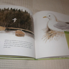 Hutri - Björklund Vesimyyrän kevät - pikkukuva 3