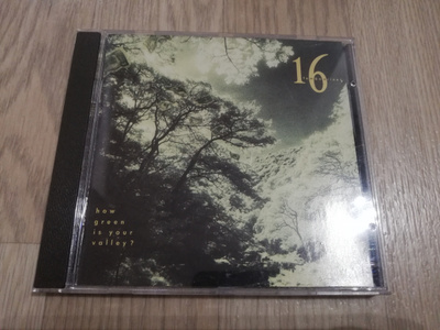 16 Tambourines – How Green Is Your Valley ? (CD)