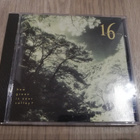 16 Tambourines – How Green Is Your Valley ? (CD) - pikkukuva 1
