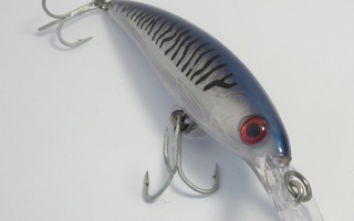 Rapala X-Rap minnow 10cm