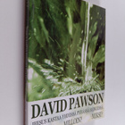 David Pawson : Jeesus kastaa yhdessä Pyhässä Hengessä : m... - pikkukuva 1