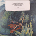 Kai (toim.) Linnilä : Suomi 1917 (numeroitu) - pikkukuva 3