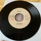 CASTANJA: Kesäkukka * Svengidisco *FIN 1972 - pikkukuva 2
