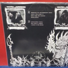 Moonblood – Taste Our German Steel! M-/M- LP - pikkukuva 2