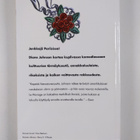 Diane Johnson : Le mariage : avioliitto ranskalaiseen tapaan - pikkukuva 2