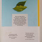 Itamar Srulovich ym. : Honey and Co - Food from the Middl... - pikkukuva 2