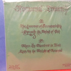 Nocturnal Triumph S/T EX+/M- LP - pikkukuva 2