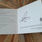 Jesca Hoop - Undress CD Nimikirjoituksella - pikkukuva 2
