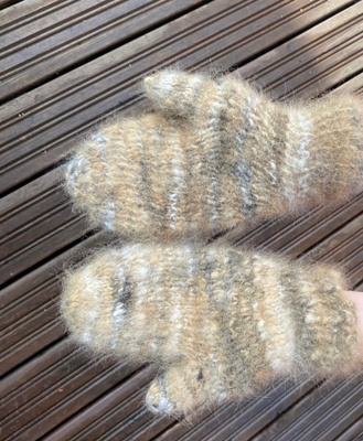 Koirankarva lapaset