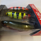 Rapala kalatakuu; Hauki ruovikko aurinkoinen keli - pikkukuva 2