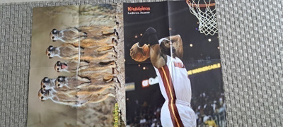 Pink / LeBron James-juliste