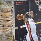 Pink / LeBron James-juliste - pikkukuva 1