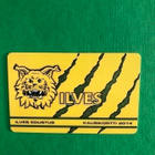 Kausikortti: Ilves Jalkapallo 2014. - pikkukuva 2