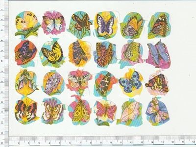 *  kauniit perhoset, pikku-arkki, 15x11cm *