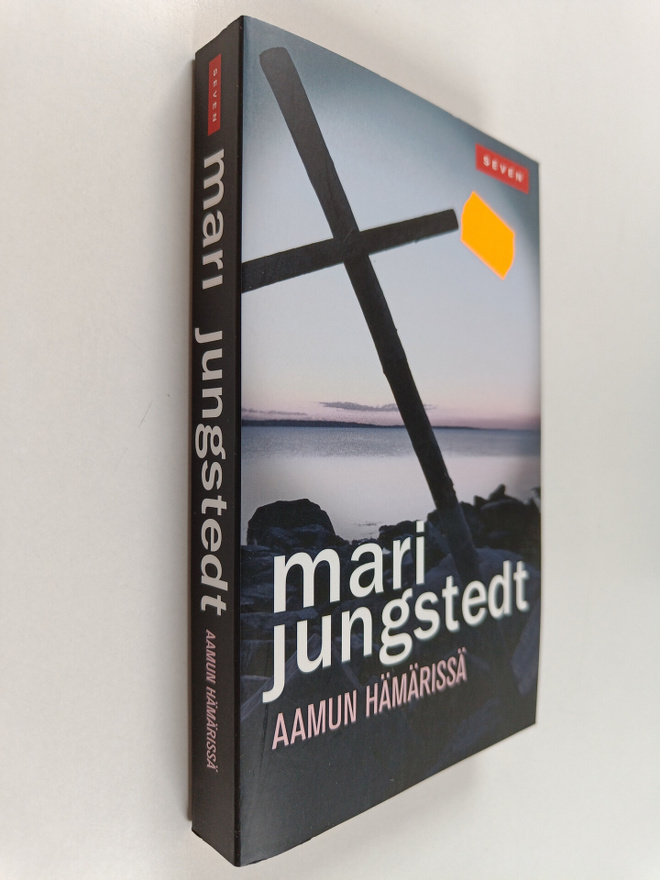 Mari Jungstedt : Aamun hämärissä