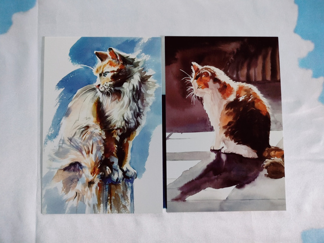~Kissa kortti~ 2kpl