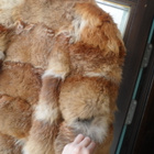 Kettuturkki yli 120cm pitkä vanha - pikkukuva 5