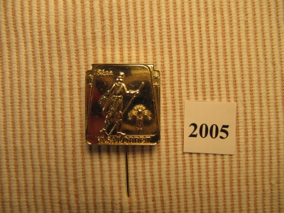 Vasaloppet rintamerkki 81:s hiihto 2005