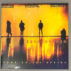SOUNDGARDEN : Down On The Upside - 2LP, uusi - pikkukuva 1