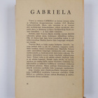 Jorge Amado : Gabriela : kanelia ja neilikkaa - pikkukuva 2