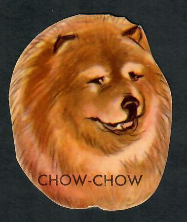 EO 5802 - Chow chow - Maj Lindman