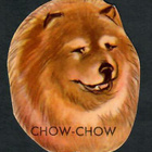 EO 5802 - Chow chow - Maj Lindman - pikkukuva 1