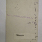 VANHA Postikortin Alkup.Mallikappale Viipuri 1920-l - pikkukuva 2