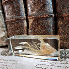Karppi, Natura Obscura – Entomologinen näyte no. 495 - pikkukuva 2
