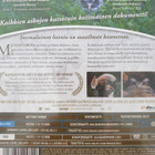 METSÄN TARINA BLU-RAY + DVD - pikkukuva 2