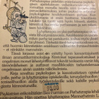 BEN FURMAN: LYHYTTERAPIA ja PERHETERAPIA - pikkukuva 2