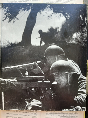 Earl F. Ziemke - The Soviet Juggernaut: World War II Series