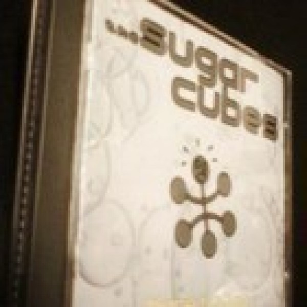 The SUGAR CUBES: Here Today, Tomorrow, Next Week! CD *Sis.pk