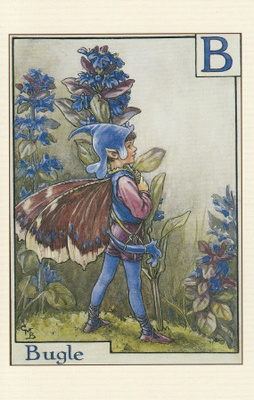 Cicely Mary Barker: Akankaalin keiju, kirjain B
