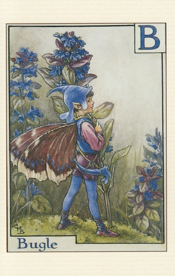 Cicely Mary Barker: Akankaalin keiju, kirjain B