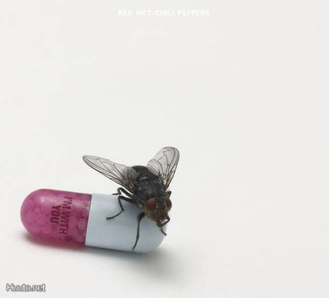 Red Hot Chili Peppers: I´m with you -cd