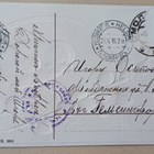 Pikkutipu ihmettelee pajunkissoja (venäl.) p. 1916 + sens.l. - pikkukuva 2