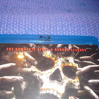 FEAR THE WALKING DEAD (1+2 -KAUDET) BD, EI FI-TEXT*** - pikkukuva 2