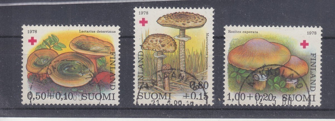 1978 PR sarja LLO-loistoleimoin