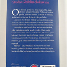 Joan G. Robinson : Marnie : tyttö ikkunassa - pikkukuva 2