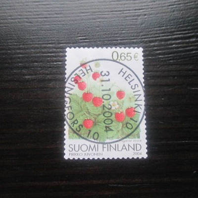 Ahomansikka 2004