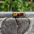 Tiikeri Solmiopidike. Hopeinen. Pituus -52 mm. 813H Leimalla - pikkukuva 1