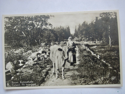 VANHA Postikortti Maalaisnäkymä Lehmä ym 1920-l