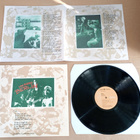LOU REED BERLIN LP + ESITE LEHTINEN - pikkukuva 1